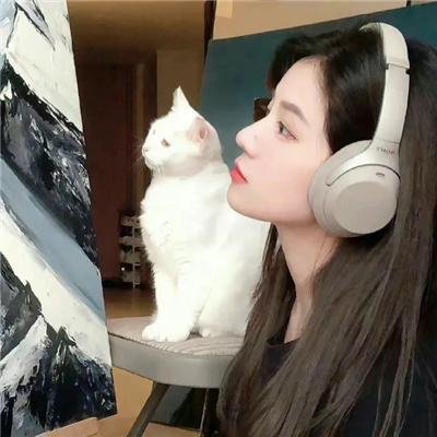 狐獴家族